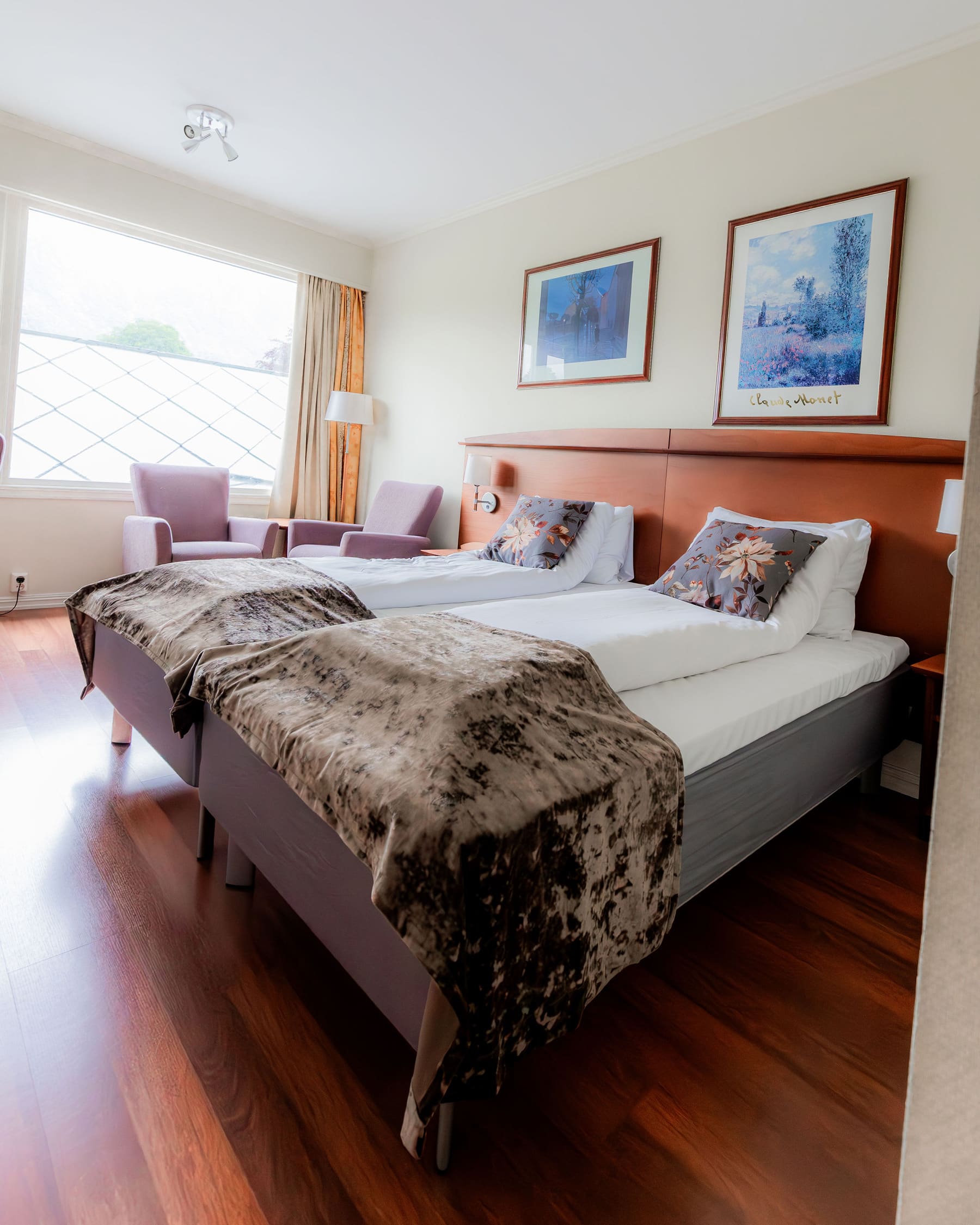 Standard room with mountain view 2