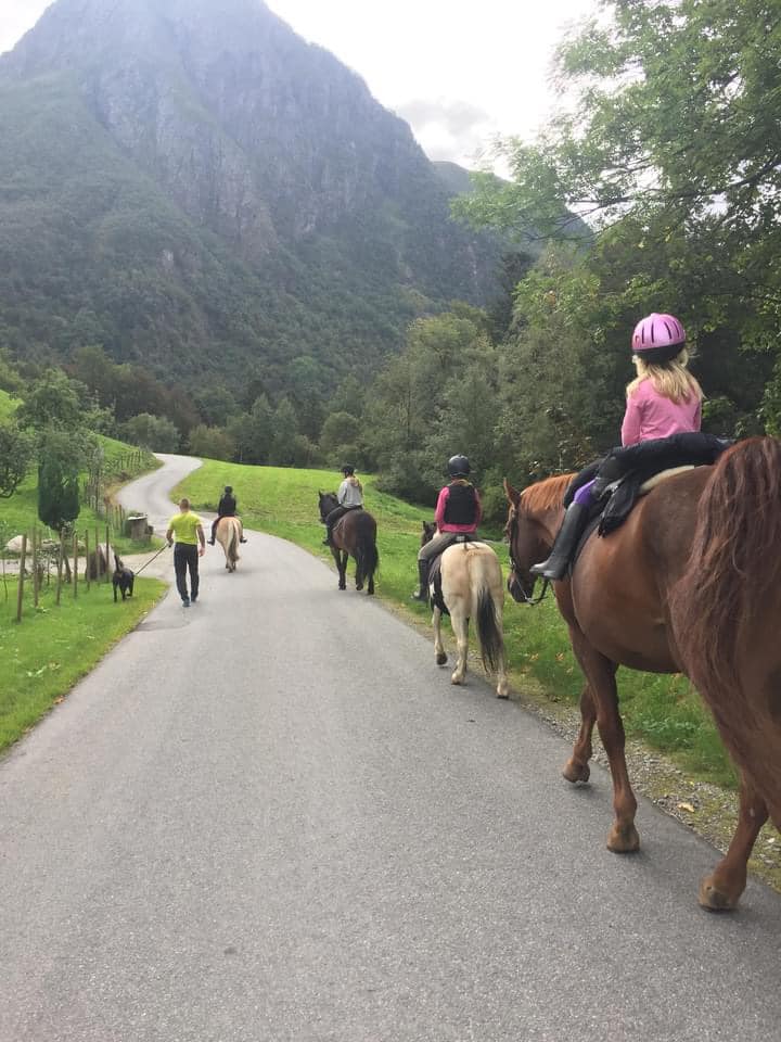 Ikon for Rosendal Rideklubb